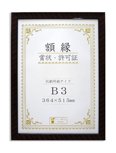 Amazon | 大仙 額縁 賞状額 金ラック R B3 樹脂製 箱入